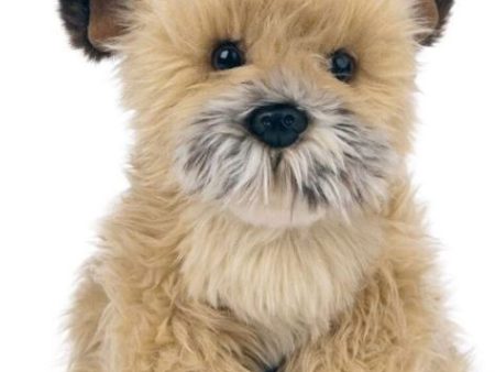 LIVING NATURE - BORDER TERRIER LARGE PLUSH For Sale