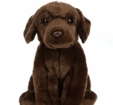 LIVING NATURE - CHOCOLATE LAB LARGE PLUSH Online