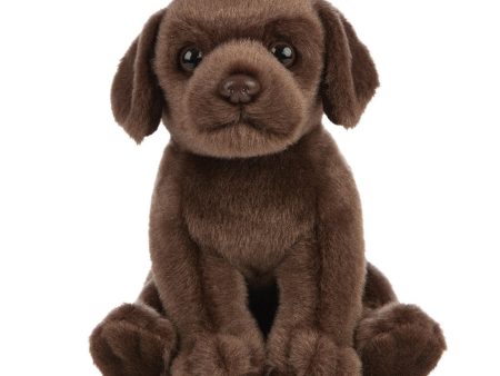 LIVING NATURE - CHOCOLATE LAB PUPPY SMALL PLUSH Discount