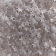 Silver Stars Edible Glitter For Cheap