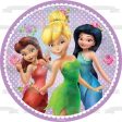 Disney Tinkerbell Fairies Silvermist Fawn Purple and White Polka Dot Background Edible Cake Topper Image ABPID21834 Hot on Sale